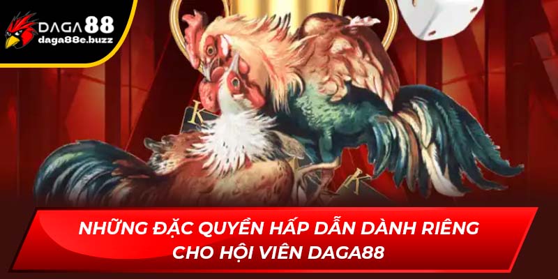 Top đặc quyền hấp dẫn dành riêng cho hội viên Daga88