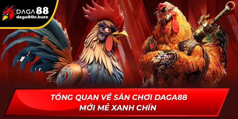 Tổng quan trang web xem đá gà Daga88