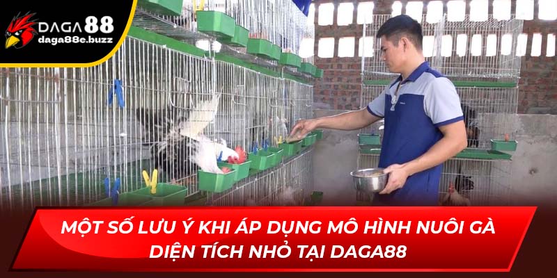 Một số lưu ý khi áp dụng mô hình nuôi gà diện tích nhỏ