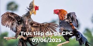 Trực tiếp đá gà CPC 07/06/2025